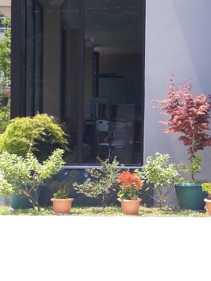 Cozy House 호텔 코불레티 외부 사진